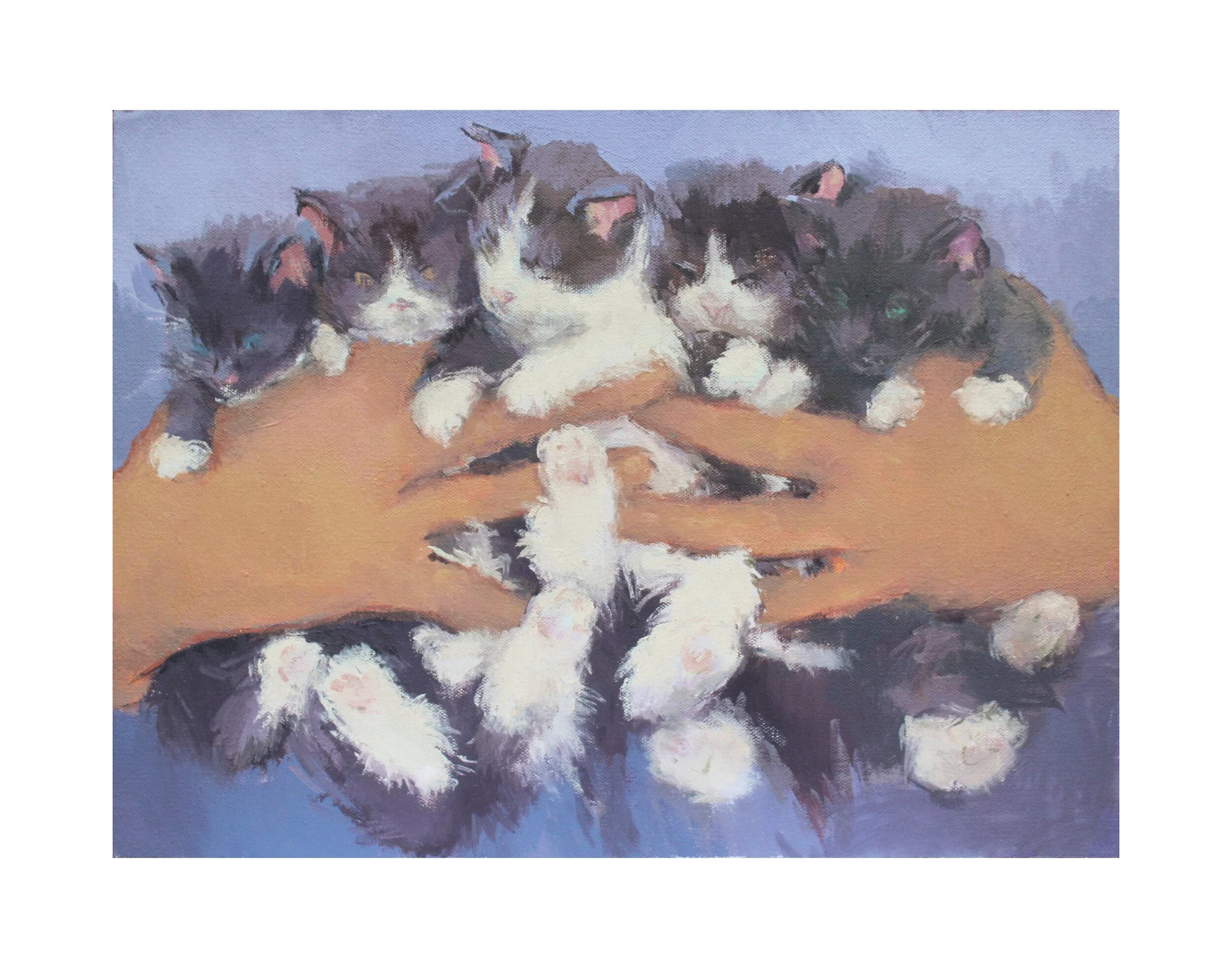 kittenページ 11x14 Art Print 